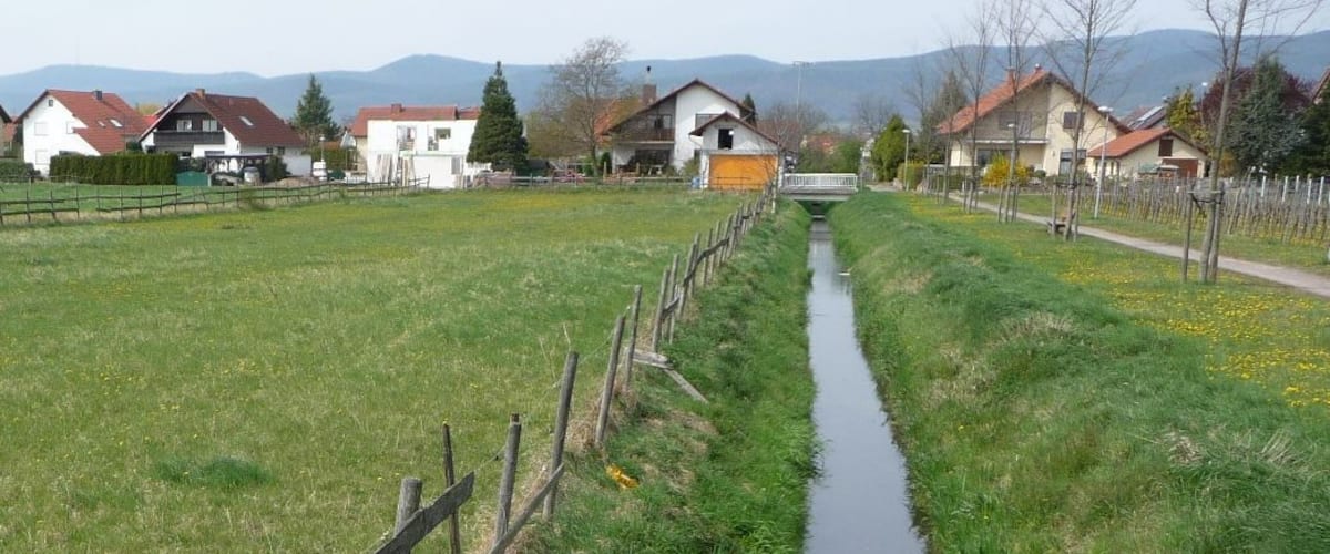 A narrow water channel flanked by wooden fences and grassy banks, with houses in the background.