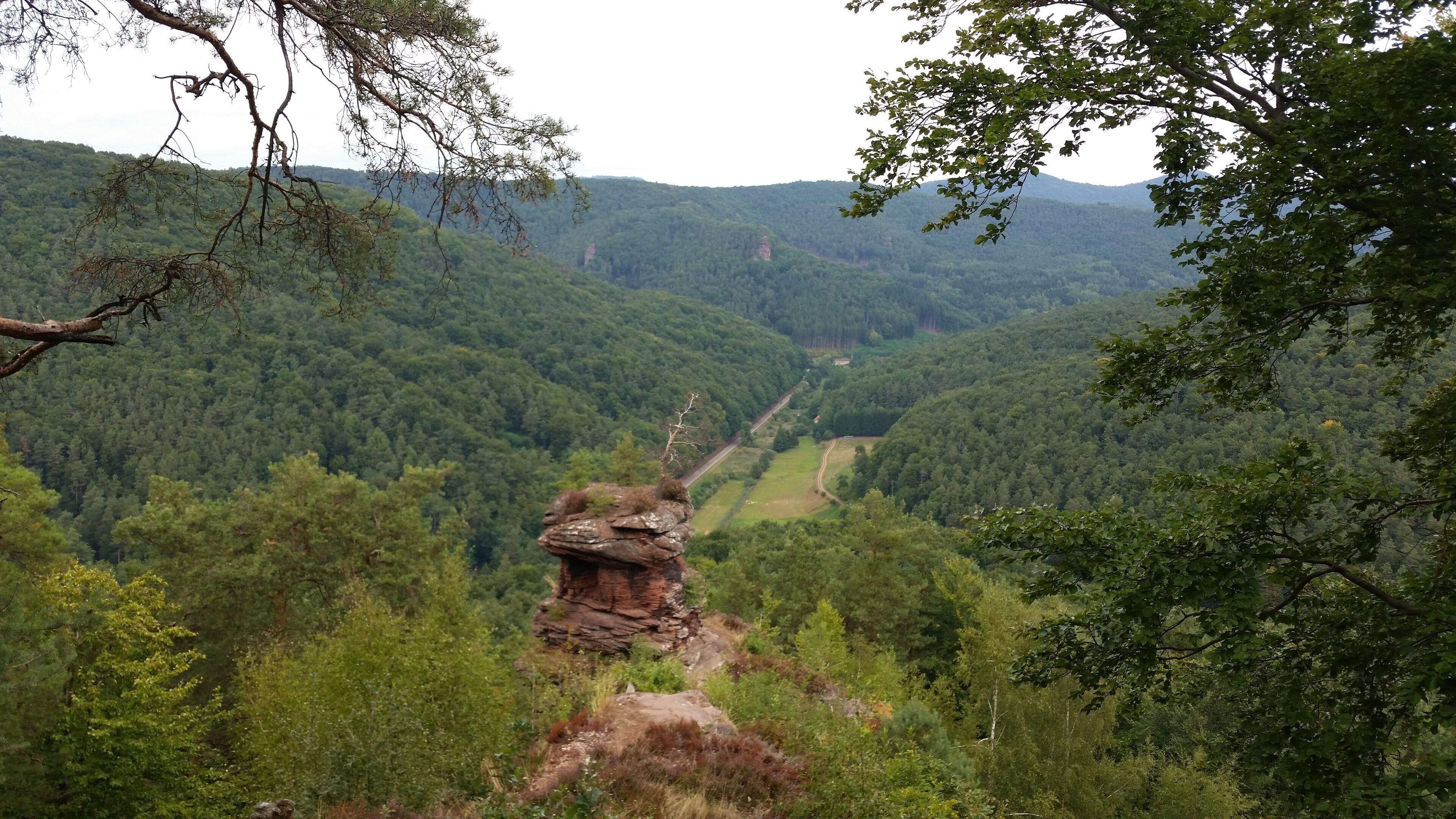 A valley with dense forest, a rocky outcrop, and a winding road.
