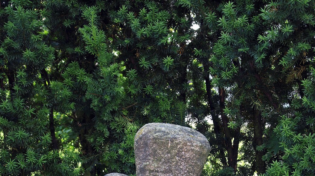 Steinkreuz in WeiĂkeiĂel