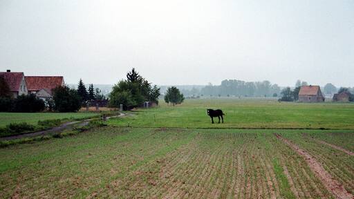 Weißkeißel, northeastern of the village
