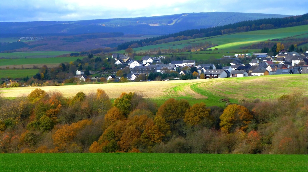 Über Hennweiler zum Idarkopf