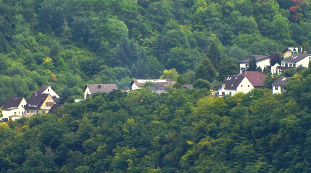 Kallenfels – Schloss Wartenstein – Blick auf Kein, Berger Weg