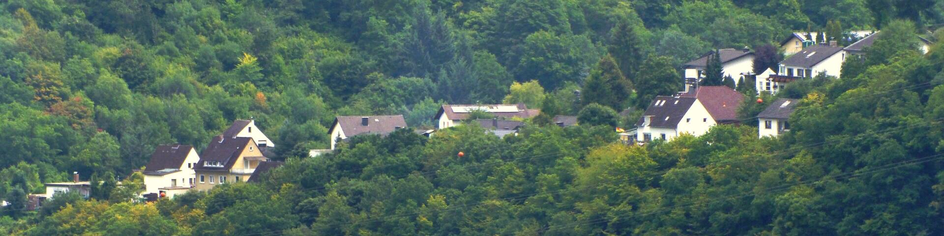 Kallenfels – Schloss Wartenstein – Blick auf Kein, Berger Weg