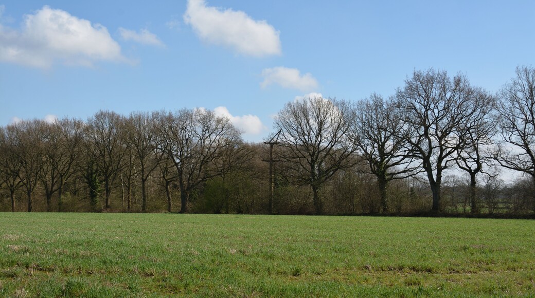 Fundamentreste der Alsenschen Drahtseilbahn in Oldendorf. Der letzte erhaltene Mast in Oldendorf. einen weitereren gibt es in Itzehoe.