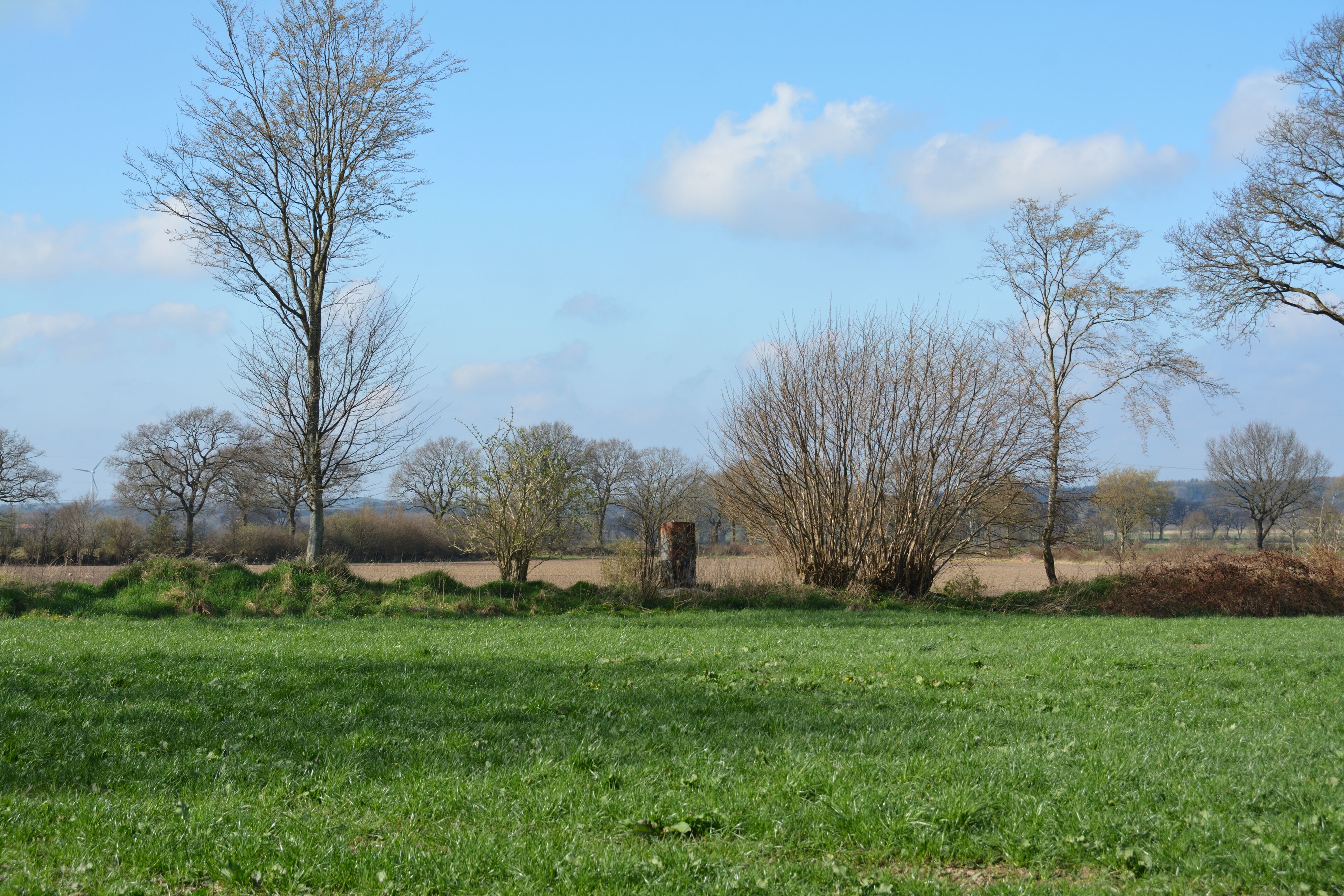 Fundamentreste der Alsenschen Drahtseilbahn in Oldendorf. Mastreste auf einem Knick.