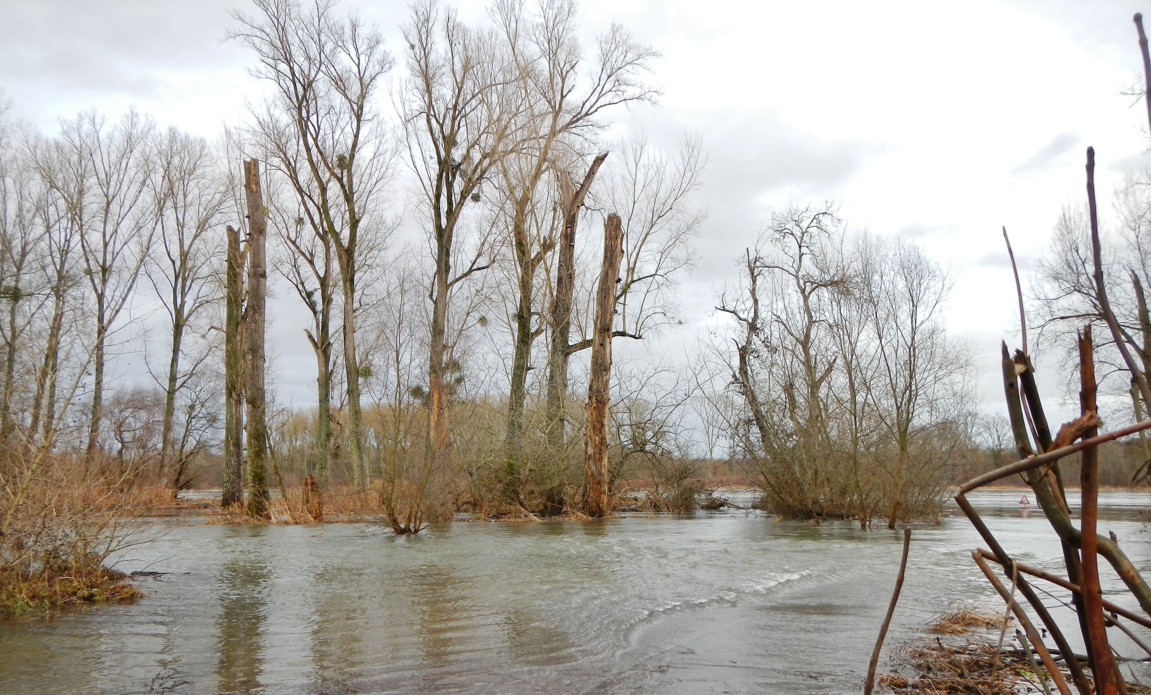 A flooded river with bare trees and a flooded path.
