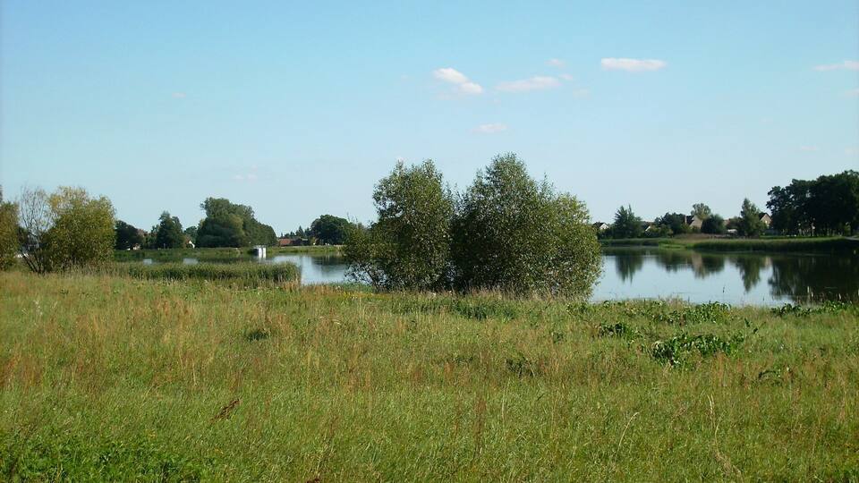 A calm lake surrounded by grassy fields and trees.