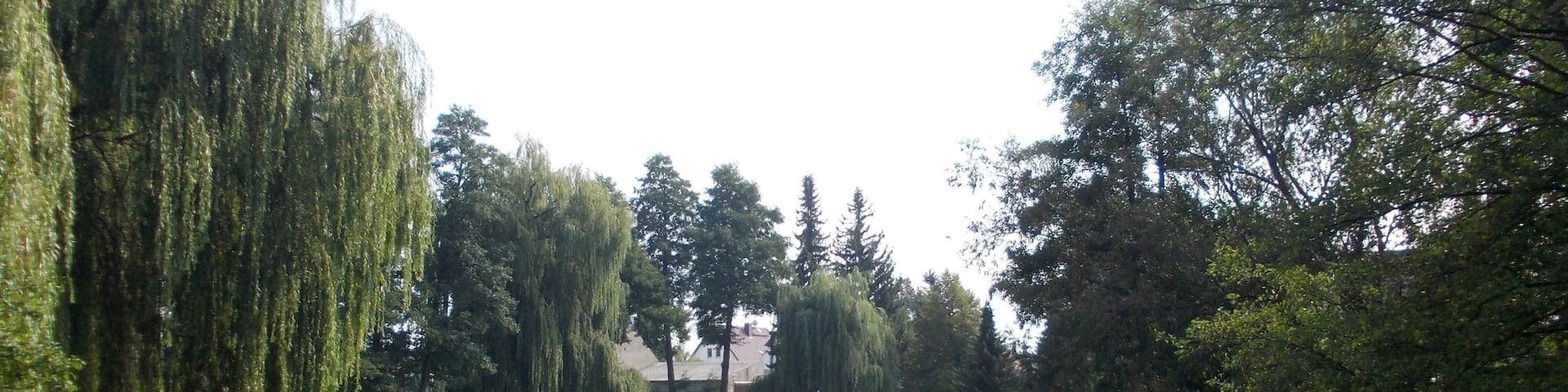 Village pond in Süptitz (Dreiheide, Nordsachsen district, Saxony)
