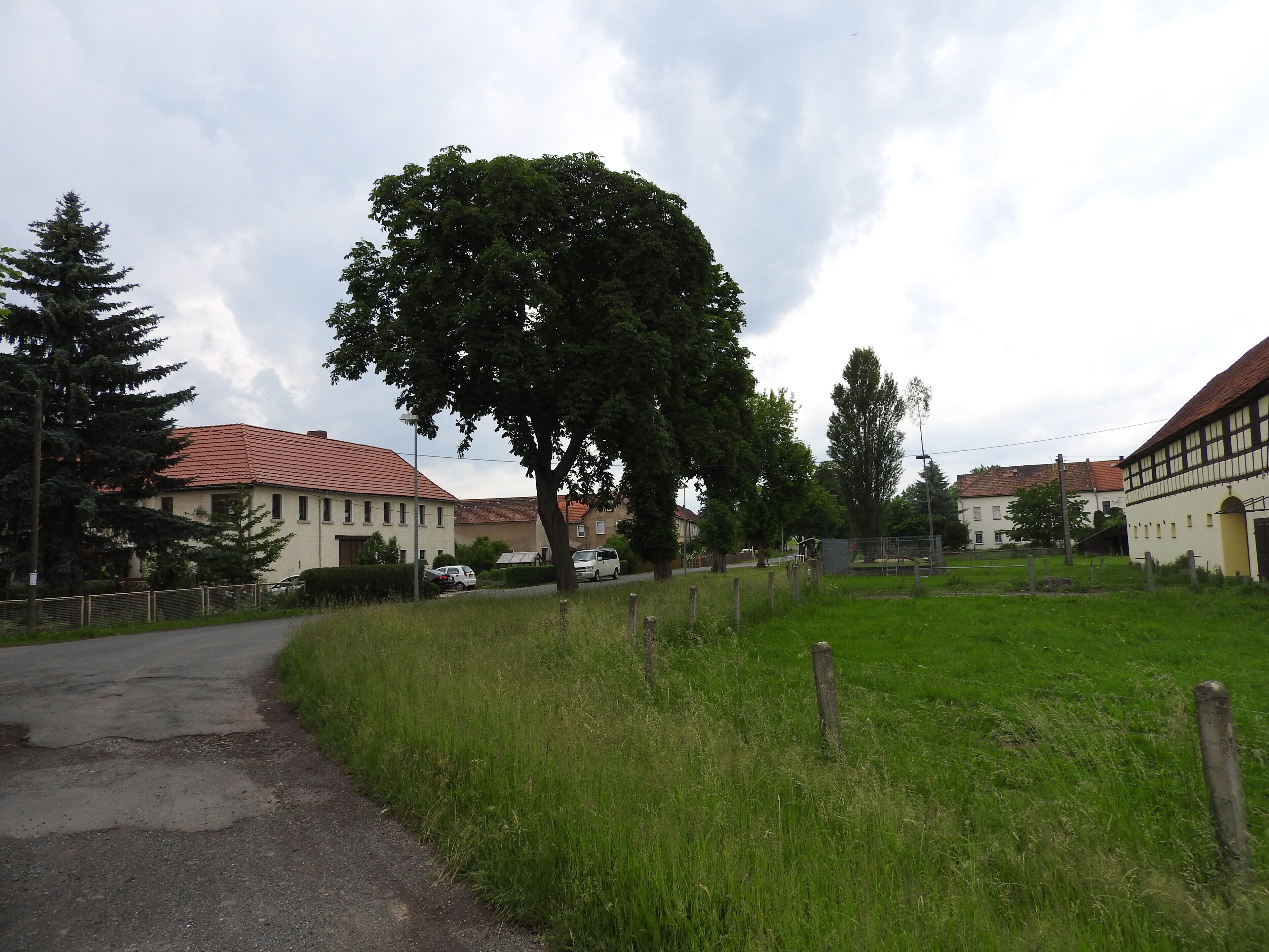 A rural road with a large tree, houses with red roofs, and a grassy field.
