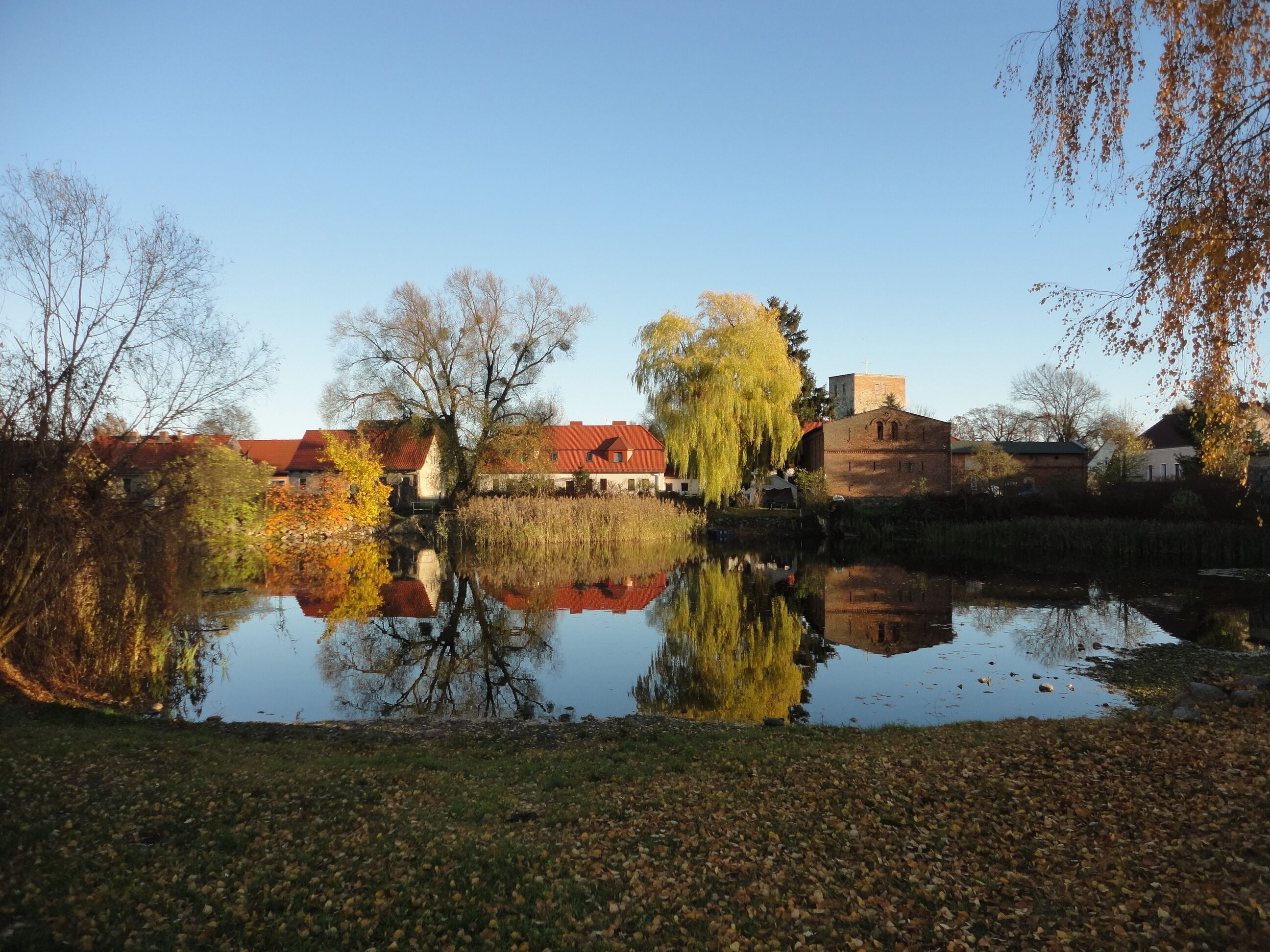 Village pond in Beiersdorf , Beiersdorf-Freudenberg municipality, Märkisch-Oderland district, Brandenburg state, Germany