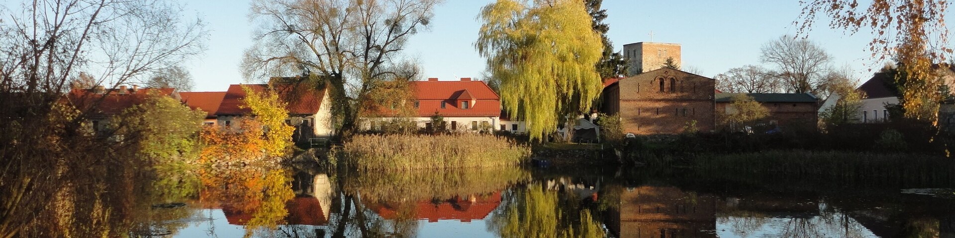 Village pond in Beiersdorf , Beiersdorf-Freudenberg municipality, MĂ€rkisch-Oderland district, Brandenburg state, Germany