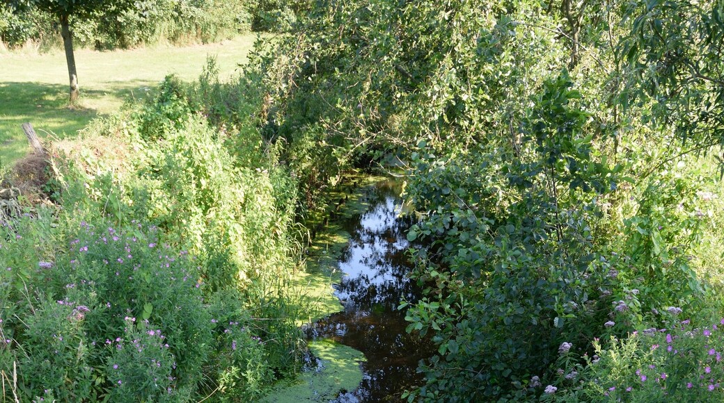 Die Wiemersdorfer Au in Hasenkrug ist einer der Quellbäche der Brokstedter Au.