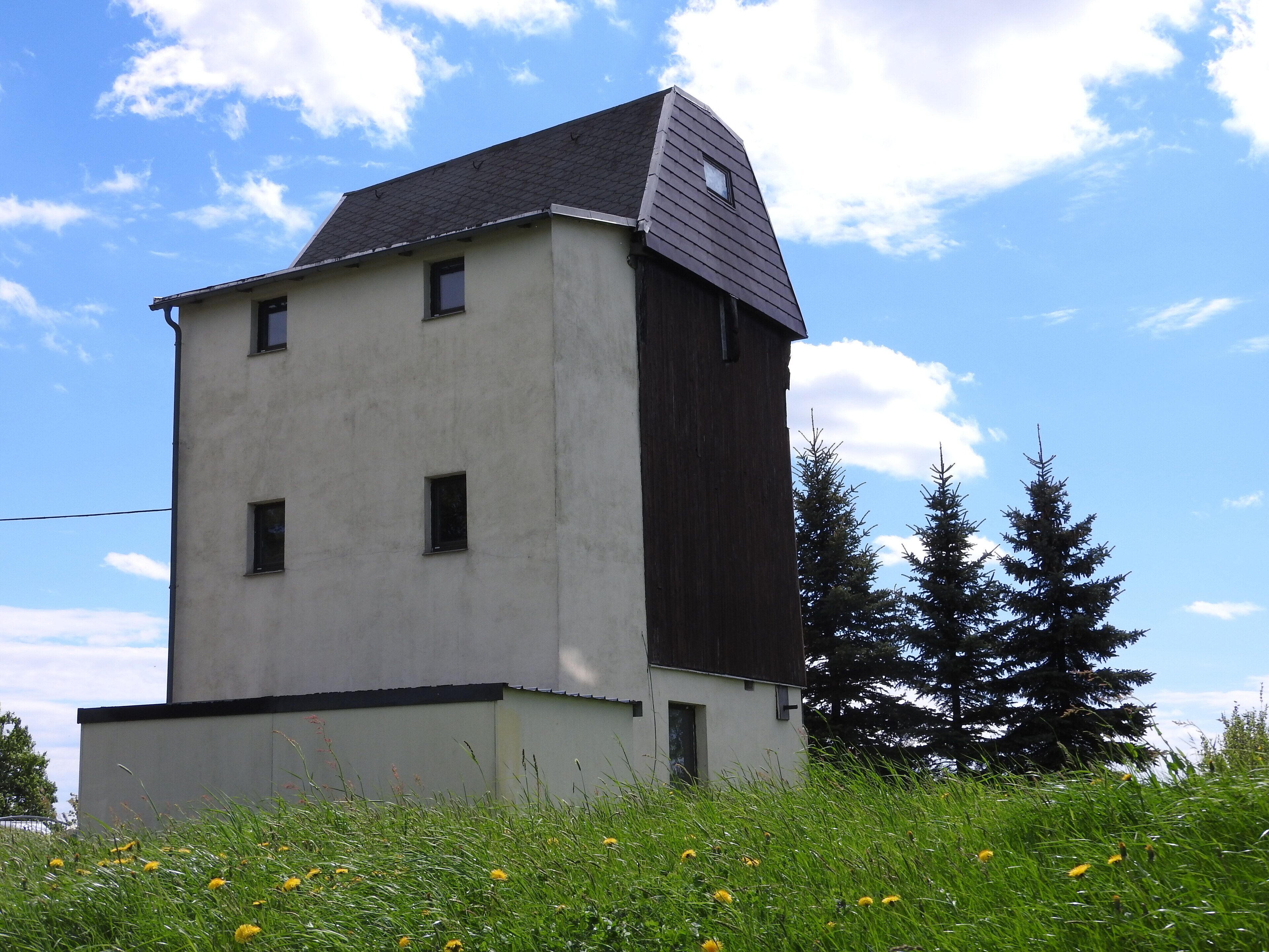 A modern building with a sloped roof and a white facade, surrounded by green grass and yellow flowers, with tall evergreen trees in the background.