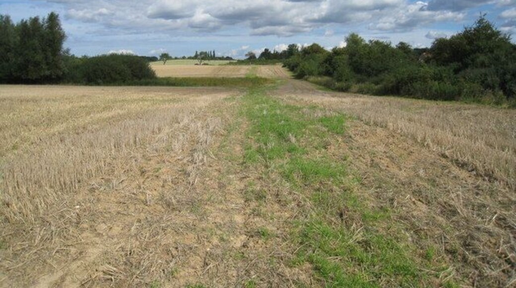 Abgeerntetes Feld bei Roduchelstorf