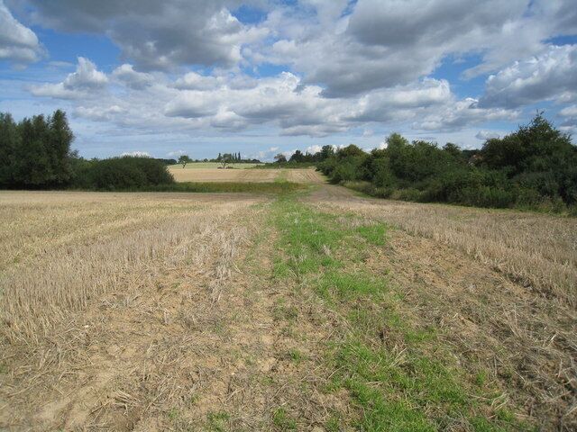 A rural landscape with a dirt path leading through a field of dry crops, surrounded by trees and under a partly cloudy sky.