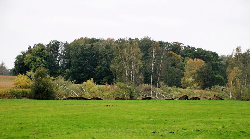 Windbruch am Blesendorfer Abzugsgraben