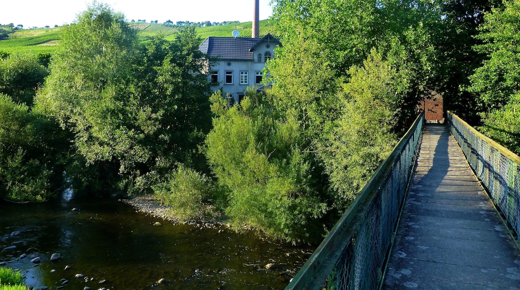 FuĂgĂ€ngerbrĂŒcke ĂŒber die Nahe bei der GĂ€nsmĂŒhle in Merxheim