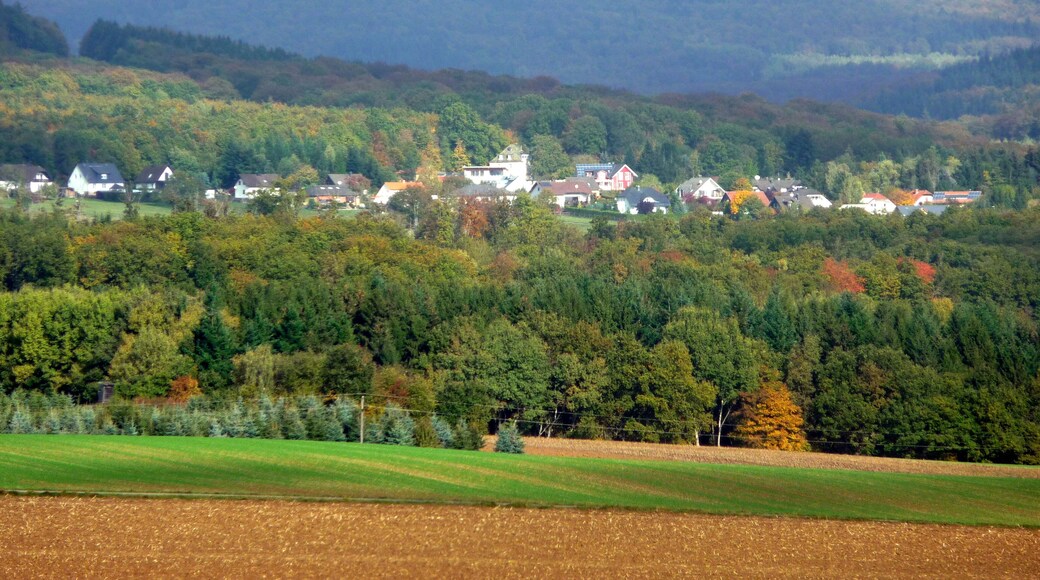 Münchwald - 13.10.2009