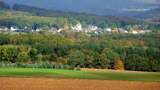 Münchwald - 13.10.2009