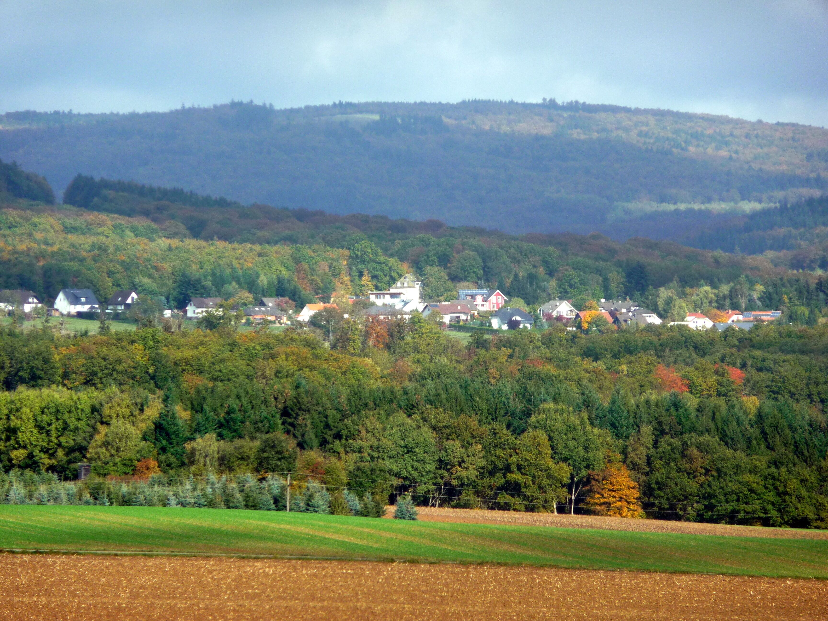 A village nestled in a valley with houses surrounded by dense forest and a hill in the background.