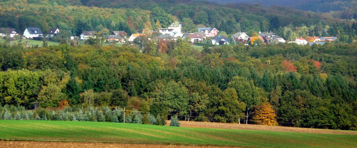 A village nestled in a valley with houses surrounded by dense forest and a hill in the background.
