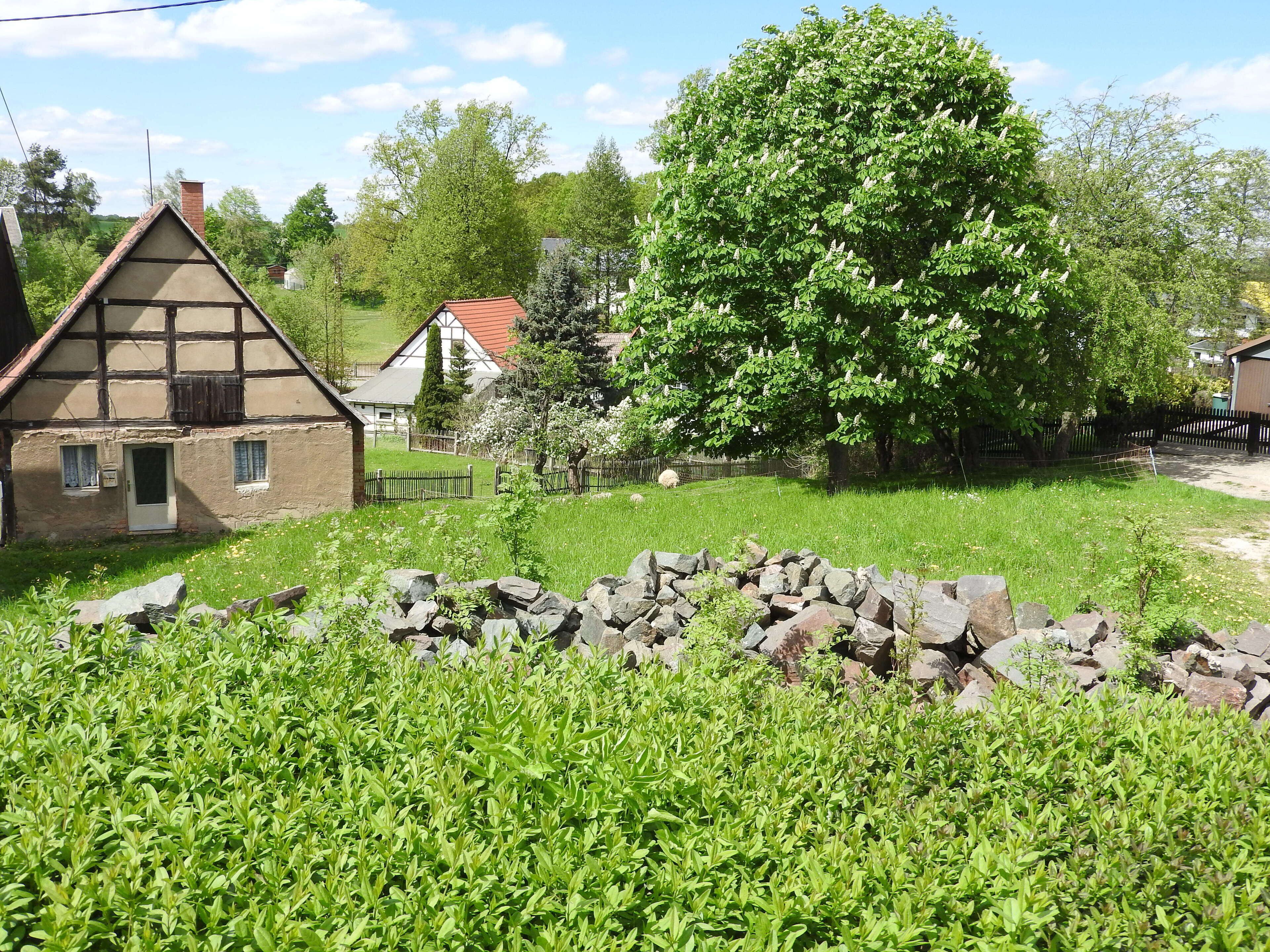 Haselbach, Rückersdorf, Thüringen