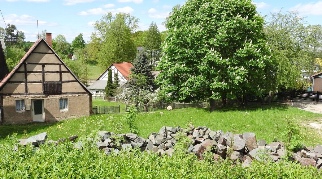 Haselbach, Rรผckersdorf, Thรผringen