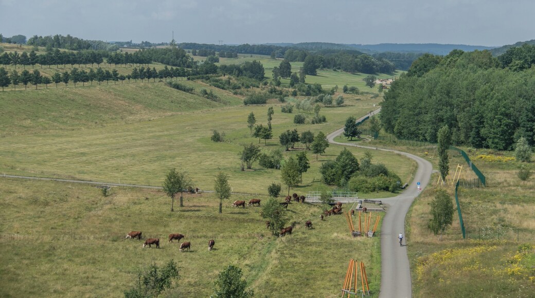 Blick von der Drachenschwanzbrücke ins Gessental