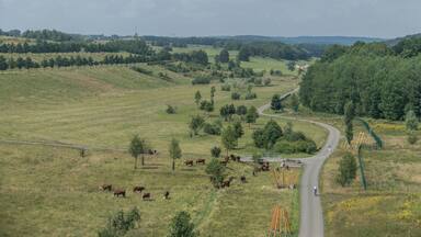 Blick von der Drachenschwanzbrücke ins Gessental