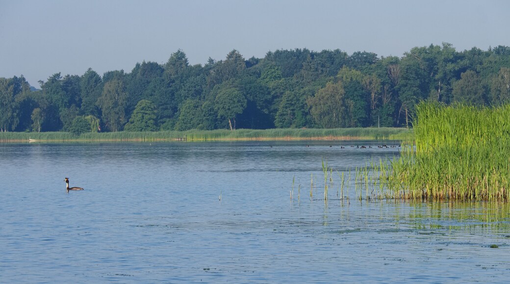 Westensee. Taken in Felde, Schleswig-Holstein, Germany