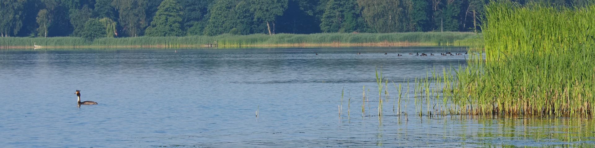 Westensee. Taken in Felde, Schleswig-Holstein, Germany