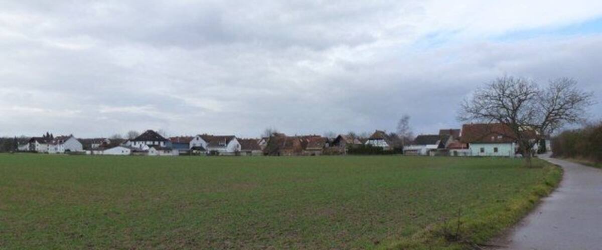A rural landscape with a paved path, green fields, and white houses with red roofs.
