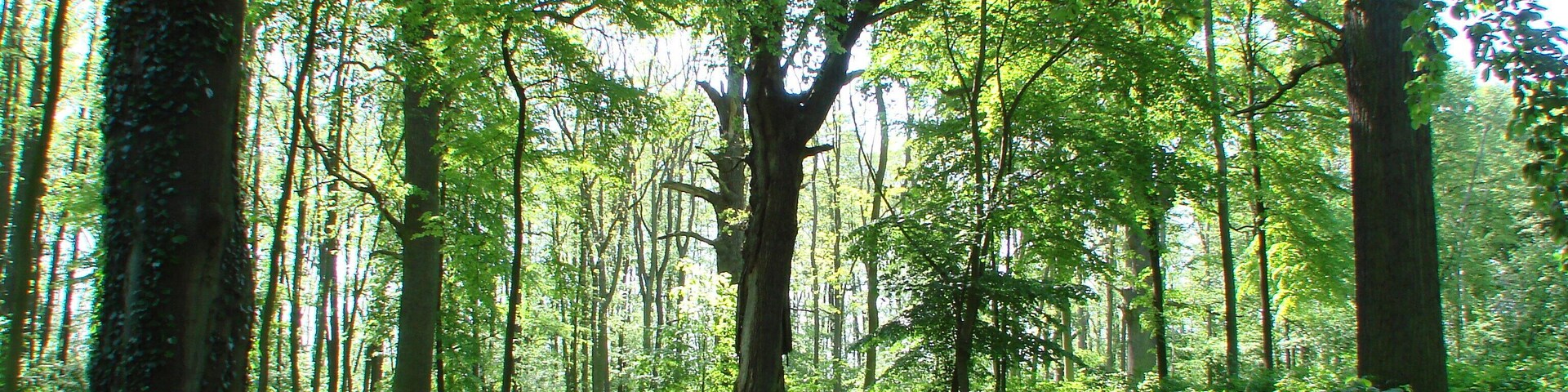 Lietzen Komturei Templer und Umgebung
