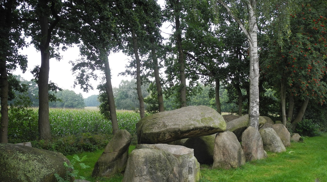Megalithic grave "Hekeser Steine B" (district OsnabrĂŒck, Lower Saxony, Germany).