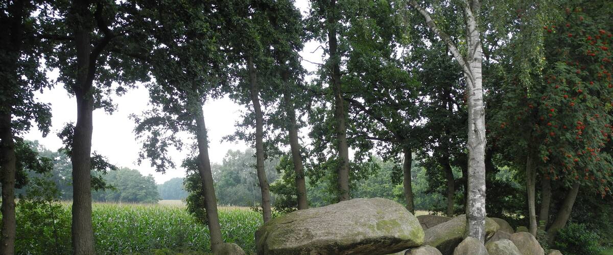 Megalithic grave "Hekeser Steine B" (district Osnabrück, Lower Saxony, Germany).