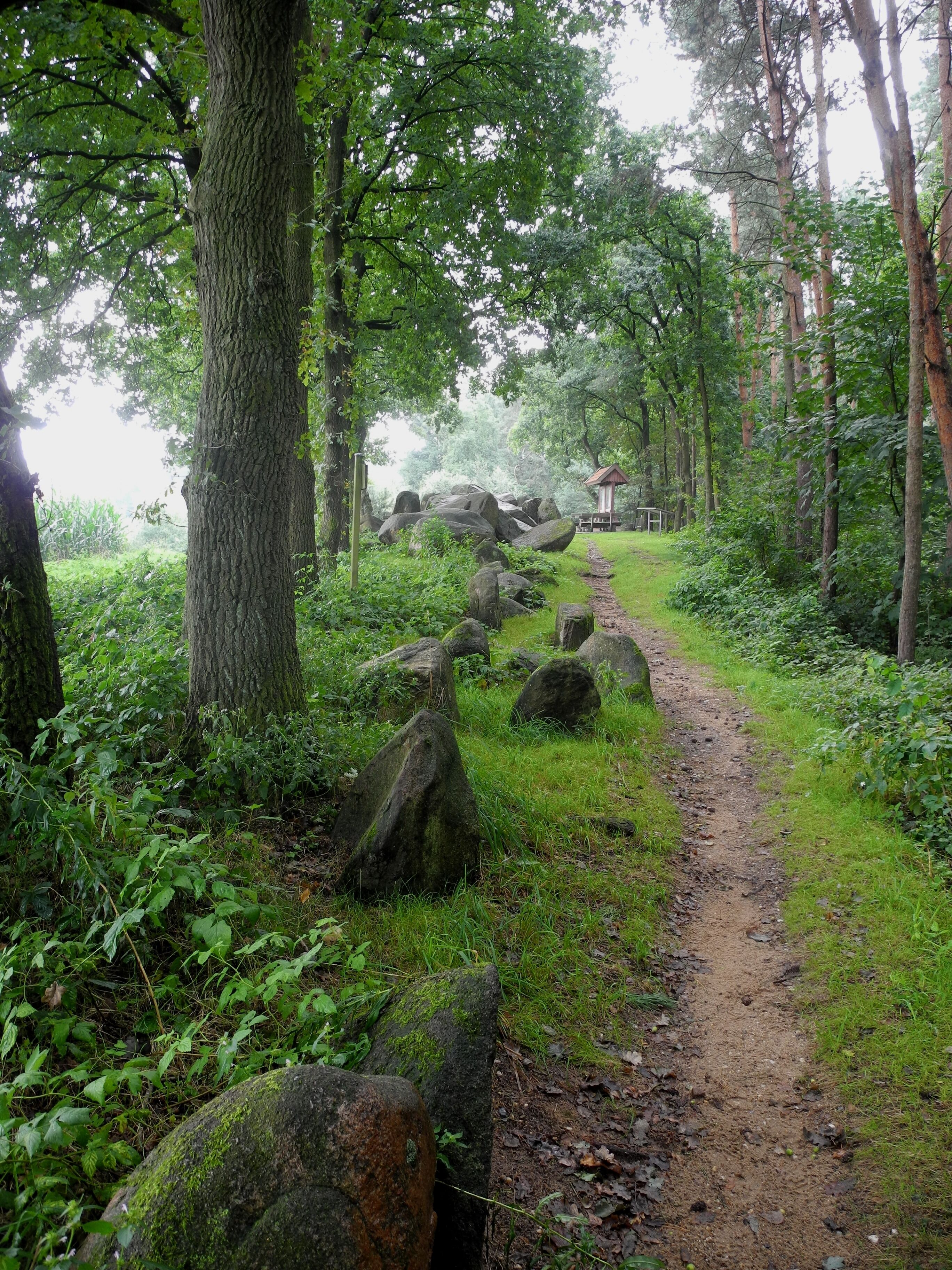 Stone row between megalithic graves "Hekeser Steine A" and "Hekeser Steine B". View from "Hekeser Steine A" towards "Hekeser Steine B" (district Osnabrück, Lower Saxony, Germany).