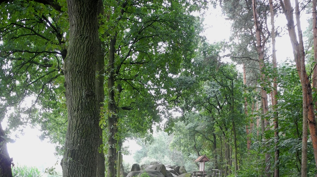 Stone row between megalithic graves "Hekeser Steine A" and "Hekeser Steine B". View from "Hekeser Steine A" towards "Hekeser Steine B" (district OsnabrĂŒck, Lower Saxony, Germany).