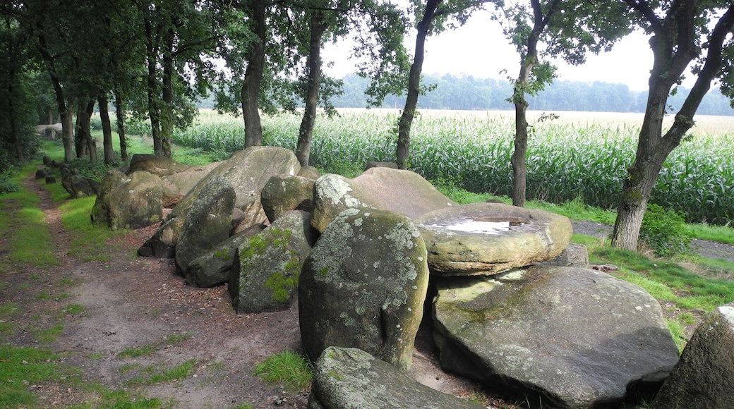 Megalithic grave "Hekeser Steine A" (district OsnabrĂŒck, Lower Saxony, Germany).