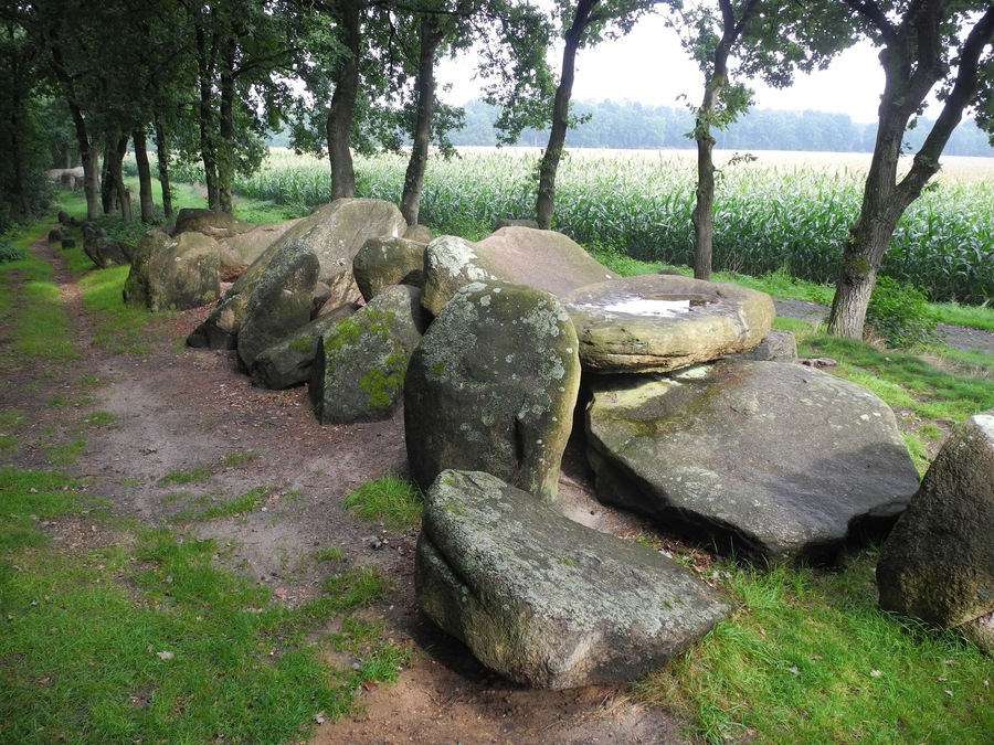 Ein bewaldetes Gebiet mit großen Felsen und einem unbefestigten Pfad.