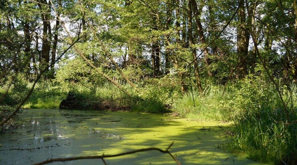 This image was uploaded as part of Wiki Loves Earth 2014.