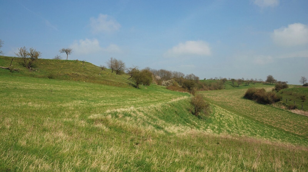 NSG Hahntal und Höckels, nordöstlicher Teil, Blick Richtung Osten (2)