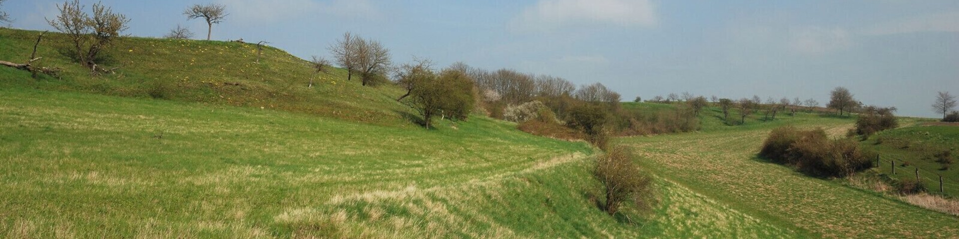 NSG Hahntal und Höckels, nordöstlicher Teil, Blick Richtung Osten (2)