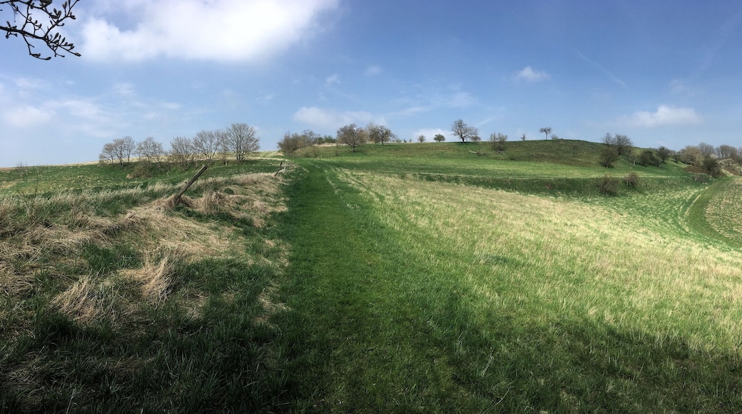 NSG Hahntal und Höckels, nordöstlicher Teil, Blick Richtung Osten, als Panorama