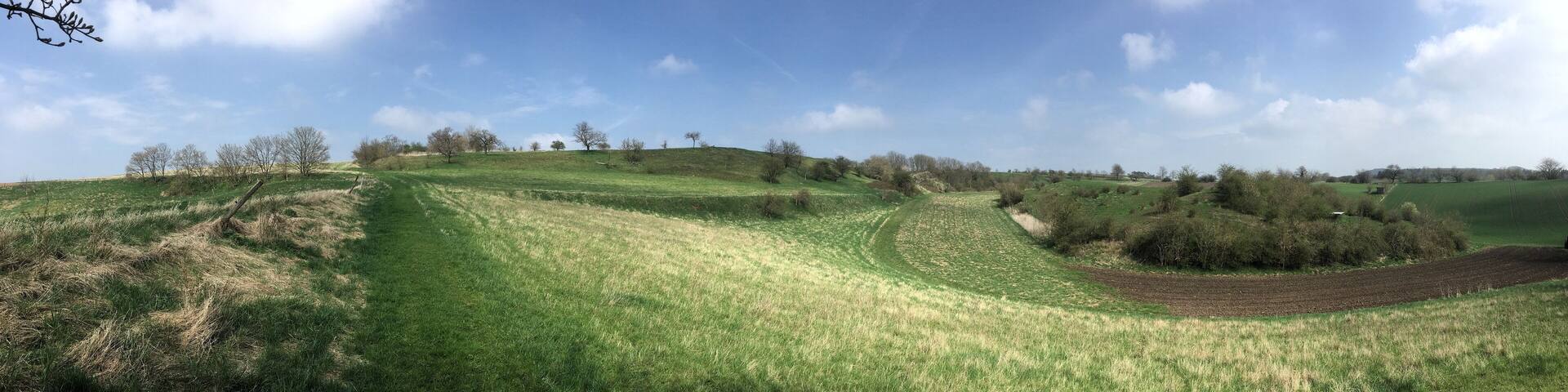 NSG Hahntal und Höckels, nordöstlicher Teil, Blick Richtung Osten, als Panorama