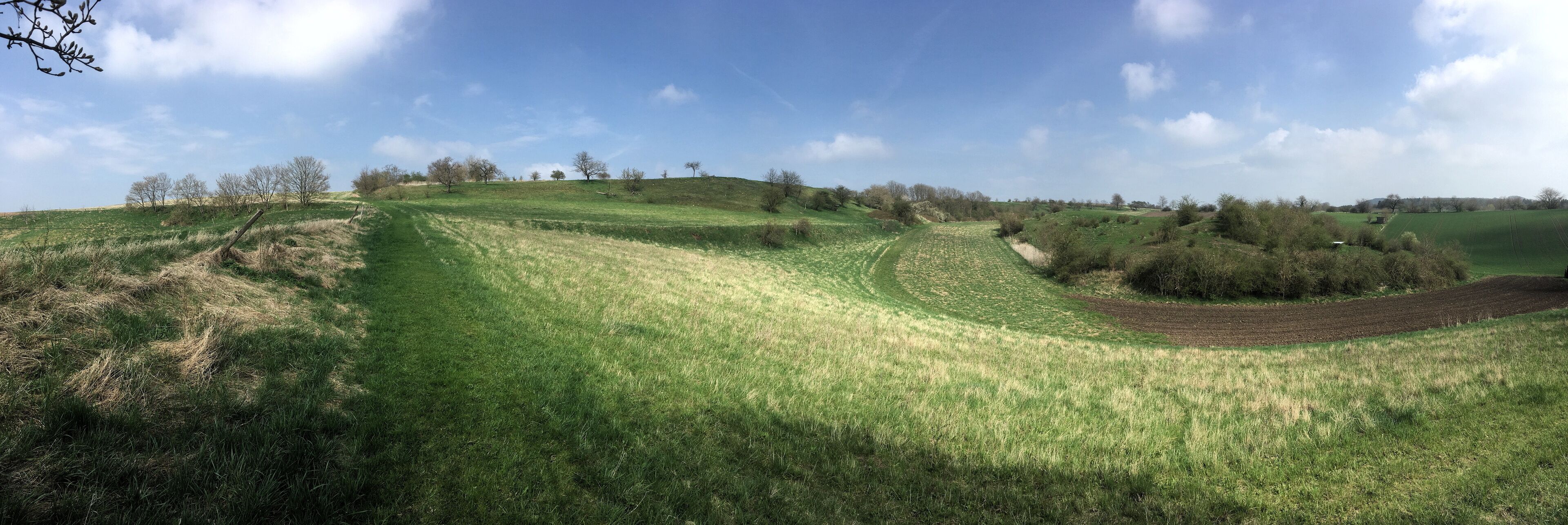 Rolling green hills, a clear blue sky, and scattered trees.