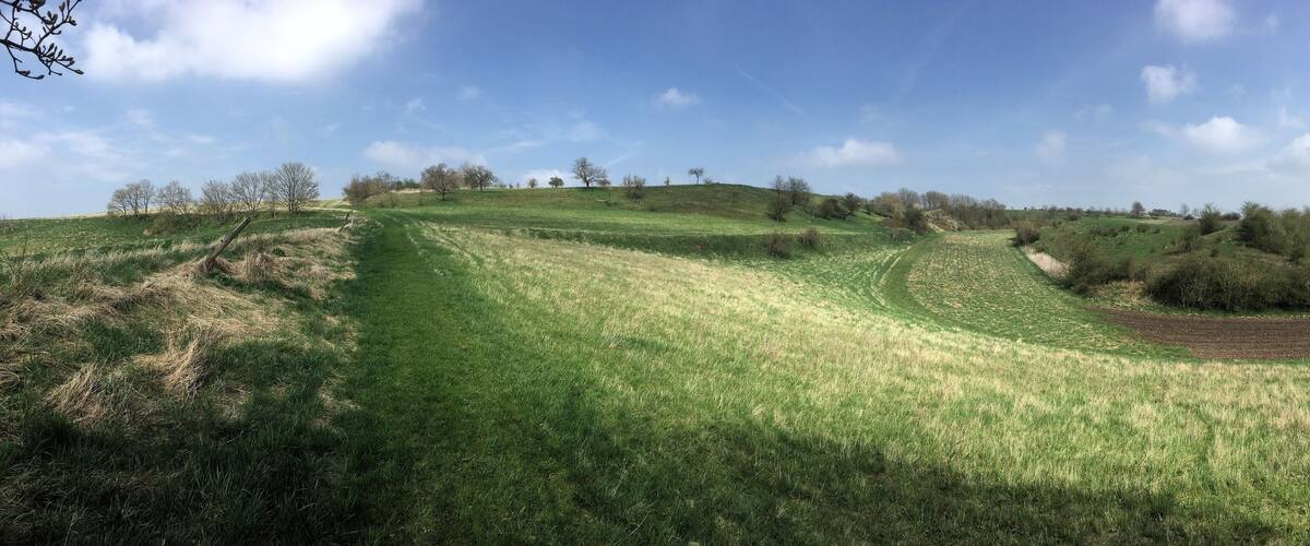 Rolling green hills, a clear blue sky, and scattered trees.