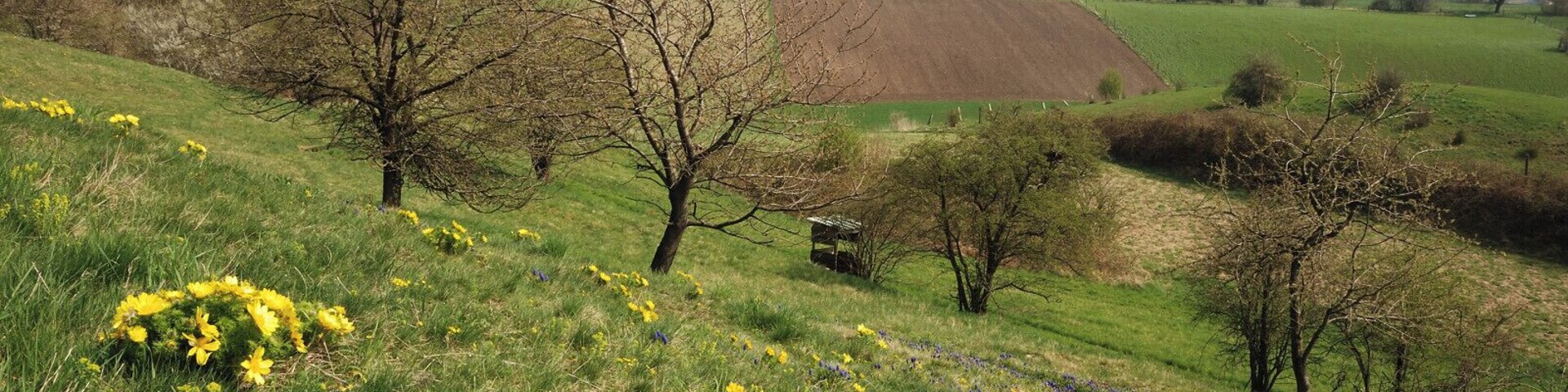 NSG Hahntal und Höckels, nordöstlicher Teil, Blick Richtung Heeseberg