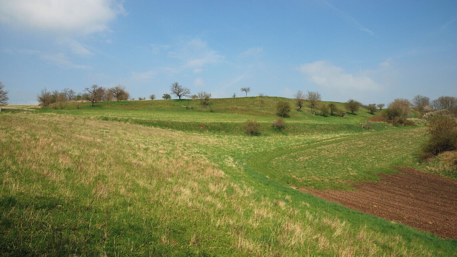 NSG Hahntal und Höckels, nordöstlicher Teil, Blick Richtung Osten (1)
