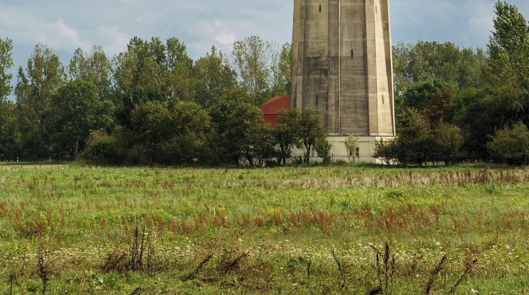 This media shows the protected monument of Saxony with the ID 09259027 KDSa/09259027(other).
