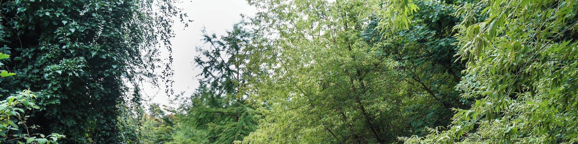 Mündung der Threne in die Parthe in Zweenfurth